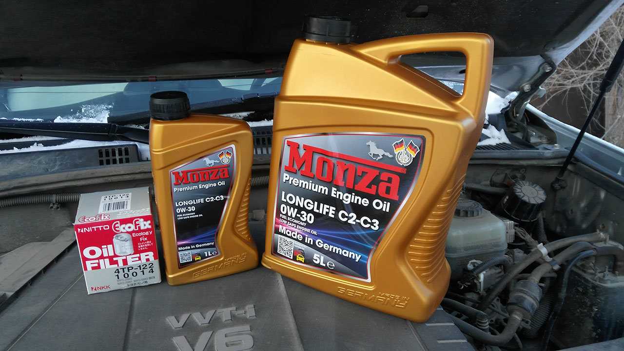 Обзор автомобильного масла monza